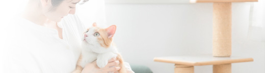 猫グッズ開発　デザイナー