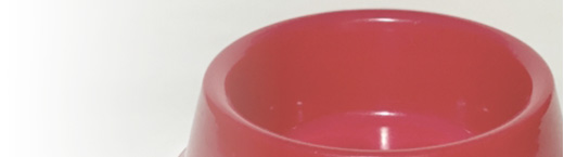 猫グッズ開発　制作スタッフ