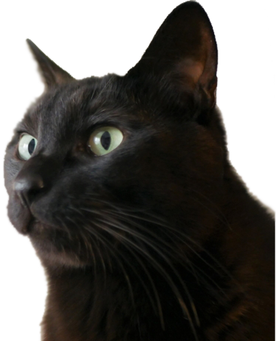 代表取締役　テス テストの顔写真