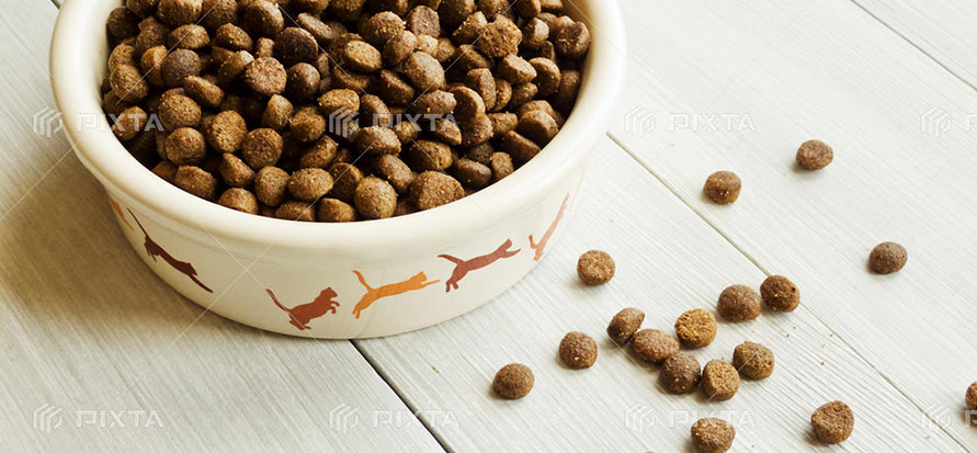 新商品「ちょっとカリカリ」を、フードボールに盛り付けた所。