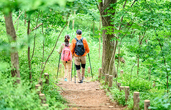 トレッキングコース