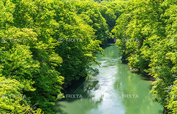 現在の川の様子