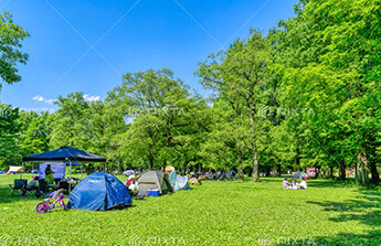 現在の川の様子